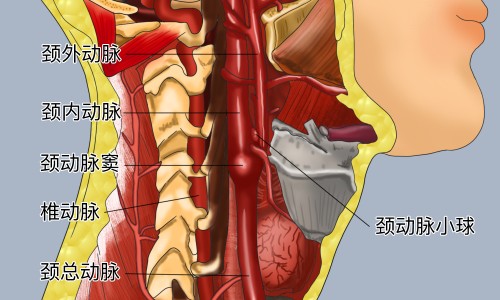 玄宁的用法用量和作用-西药玄宁主治什么病网 | 玄宁片说明书,玄宁片的作用与功效与副作用