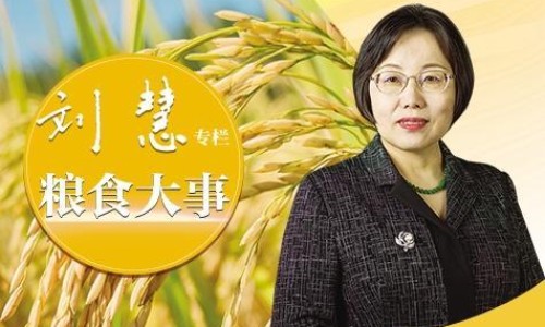 玄宁用法用量-西药玄宁主治什么病网 | 玄宁片说明书,玄宁片的作用与功效与副作用