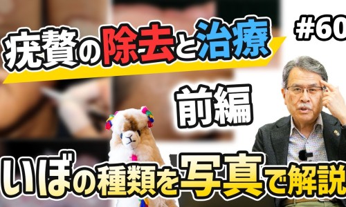 玄宁片的作用与功效与副作用-西药玄宁主治什么病网 | 玄宁片说明书,玄宁片的作用与功效与副作用